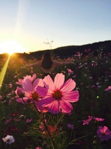 Enjoy Some Mindful Gardening This Spring!
